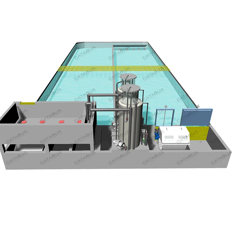 CATAQUA Raceway Tank RAS Recirculating Aquaculture Equipment Arowana Fish Farm Aquarium Systems