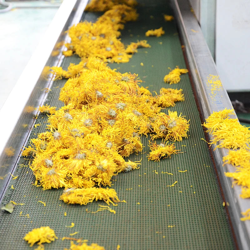 Industrial Commercial Food Dehydrator Vegetable Fruit Freeze Drying Machine Dryer Supplier