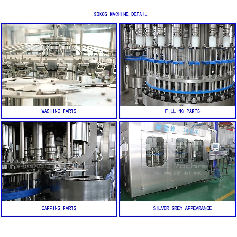 Sokos Automatic Complete 10000BPH Bottled Mineral Water Filling Line For Small Factory