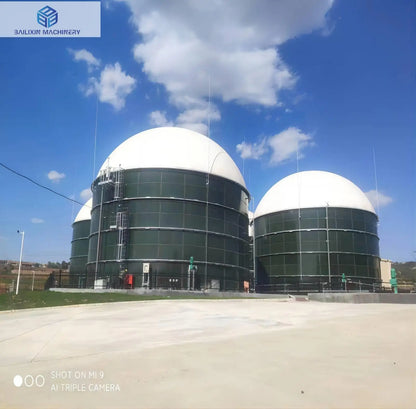 BLX Best selling Newest slaughter plant waste digester for professional biogas equipment
