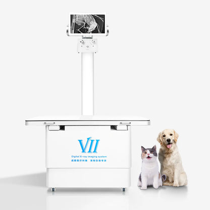 DR Use Hospital X Ray Machine For Accurate Medical Imaging
