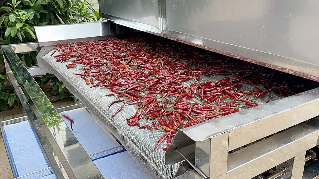 Customized vegetable processing line Chili peppers Cleaning punching dicing drying machines