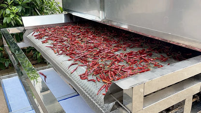 Customized vegetable processing line Chili peppers Cleaning punching dicing drying machines