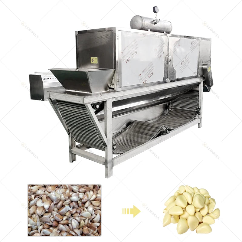 industrial automatic Full Set Garlic Production Line Includes Garlic Cleaning Breaking Peeling Sorting processing Machine