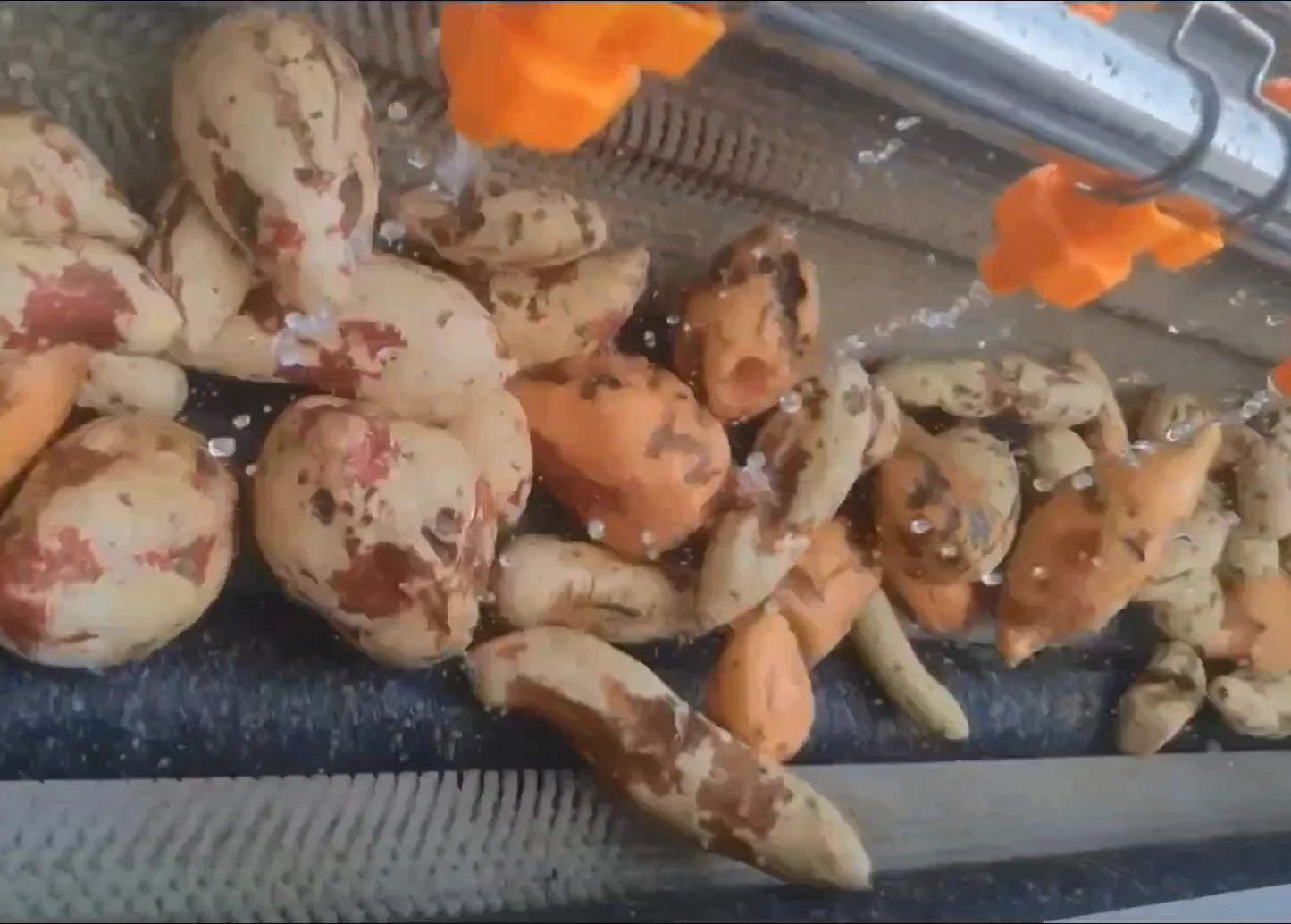 Fully Automatic Fresh sweet potato ,Purple Sweet Potato peeling and cutting Production Line