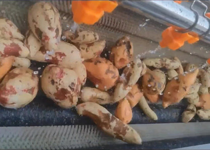 Fully Automatic Fresh sweet potato ,Purple Sweet Potato peeling and cutting Production Line