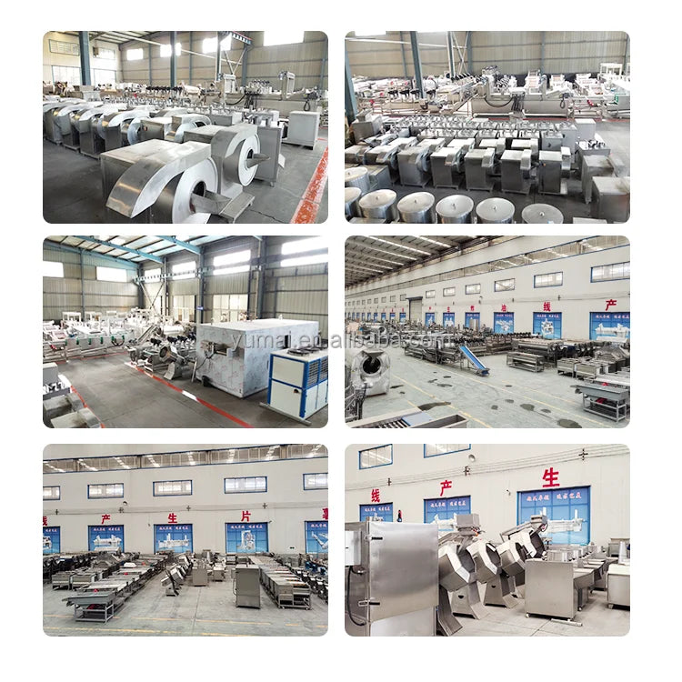 Support Installation Large Scale 2t/h Frozen French Fries Machine Fresh Potato Chips Production Line