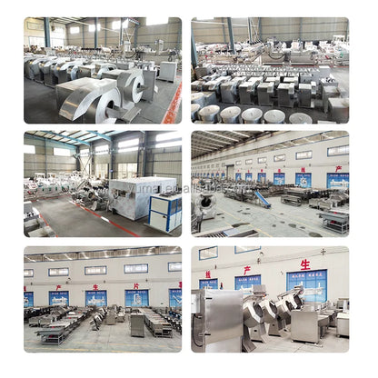 Support Installation Large Scale 2t/h Frozen French Fries Machine Fresh Potato Chips Production Line