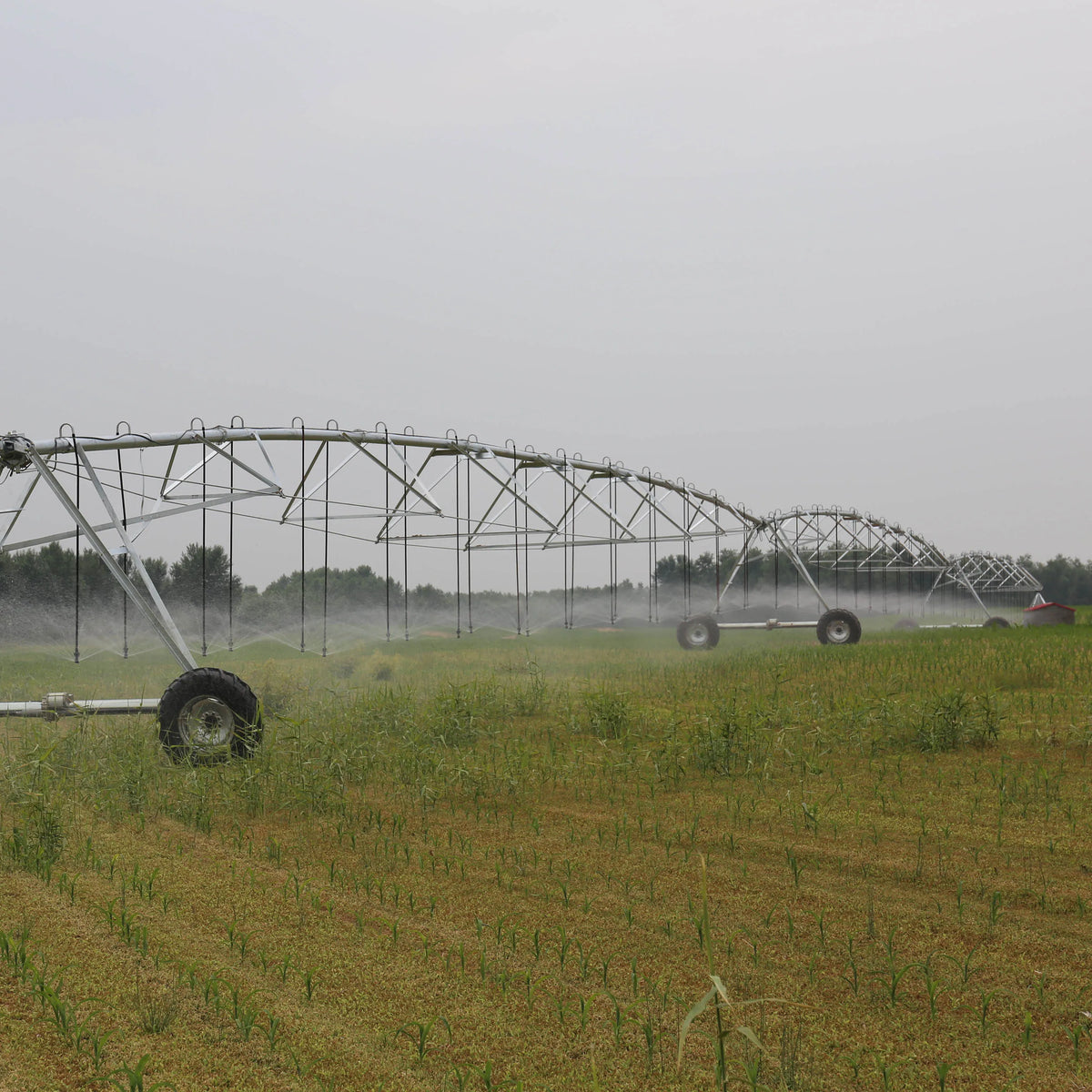 Agriculture DYP Central Pivots Irrigator Fixed Center Pivot Irrigation System