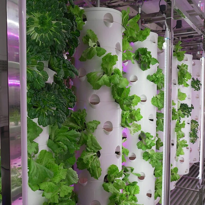 Lyine 2022 Smart Farm System Agriculture Grow Cabinet Irrigation & Hydroponics Equipment