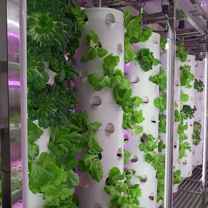 Lyine 2022 Smart Farm System Agriculture Grow Cabinet Irrigation & Hydroponics Equipment