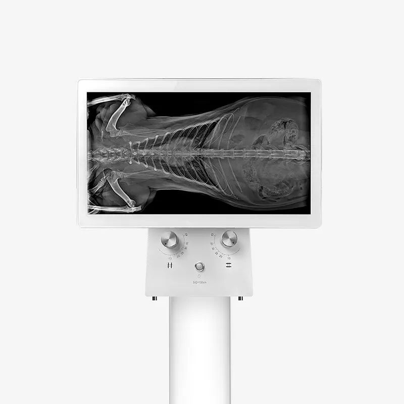 Dynamic Veterinary X ray Radiography imaging system 2023 newest model X-Ray inspection machine