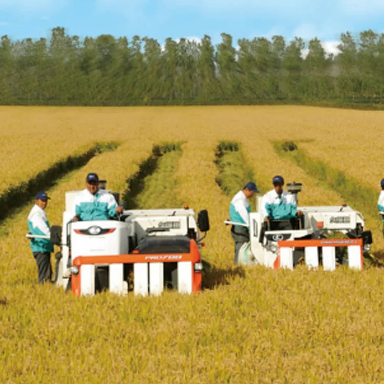 KubotaPRO888GM Peanut Harvester for Tractor Forestry Harvester for Lavender Rice Combine Harvester Kubota Price