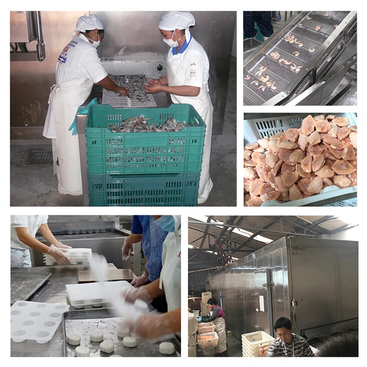 freezer quick freezing iqf machine iqf tunnel freezer freezing machine fish