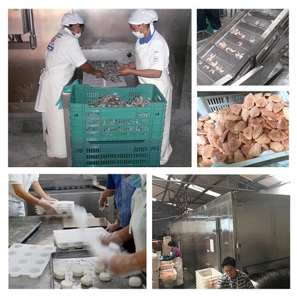 freezer quick freezing iqf machine iqf tunnel freezer freezing machine fish
