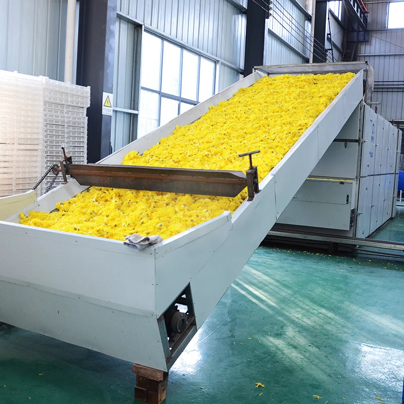 Industrial Commercial Food Dehydrator Vegetable Fruit Freeze Drying Machine Dryer Supplier