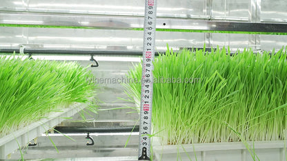 Lyine Fully Automatic Hydroponics Fodder System Hydroponics Barley Fodder Grass Growing Machine Hydroponic Fodder Container