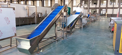 industrial automatic Full Set Garlic Production Line Includes Garlic Cleaning Breaking Peeling Sorting processing Machine