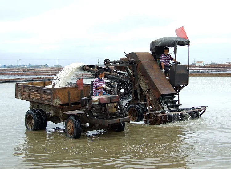 Shuliy big sea salt crushing and harvesting machine sea salt combine harvester
