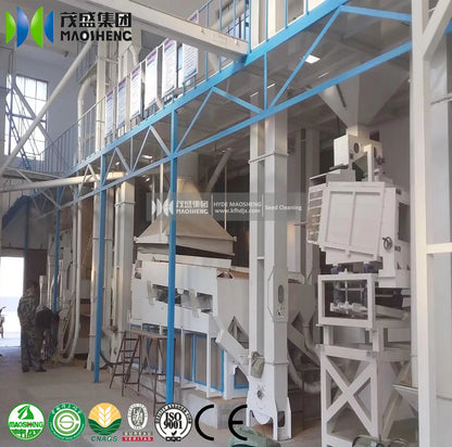 New machinery Rice Seeds Machine 5ZT soy bean seed cleaning grading sorting packing line for sale wheat cleaning machine