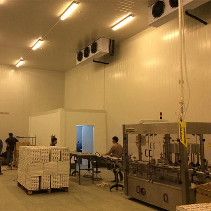 industrial cold storage room price walk in freezer and chiller