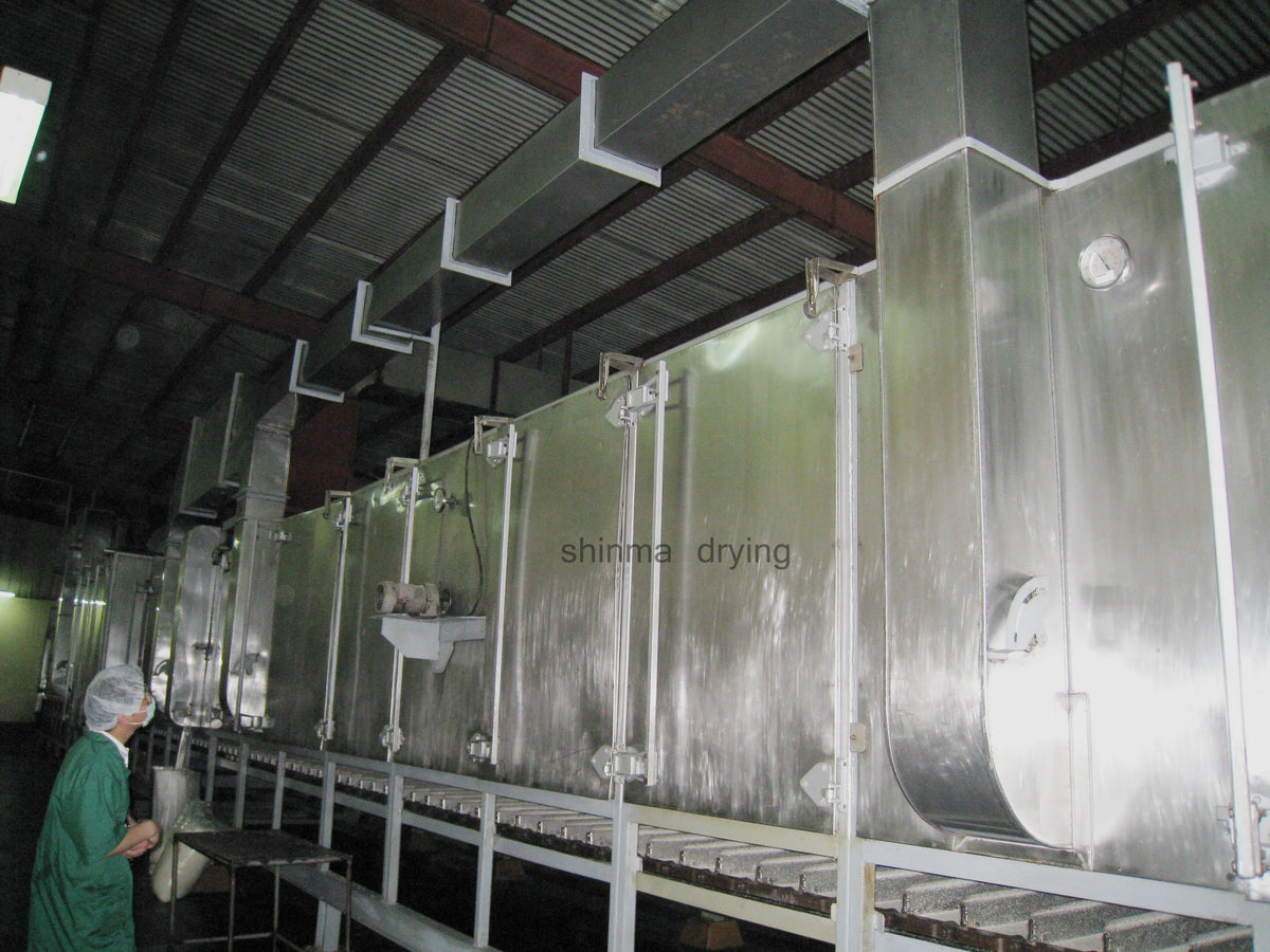 DW series continuous conveyor mesh belt copra dryer