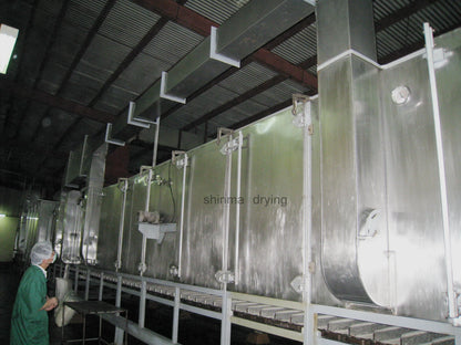 DW series continuous conveyor mesh belt copra dryer