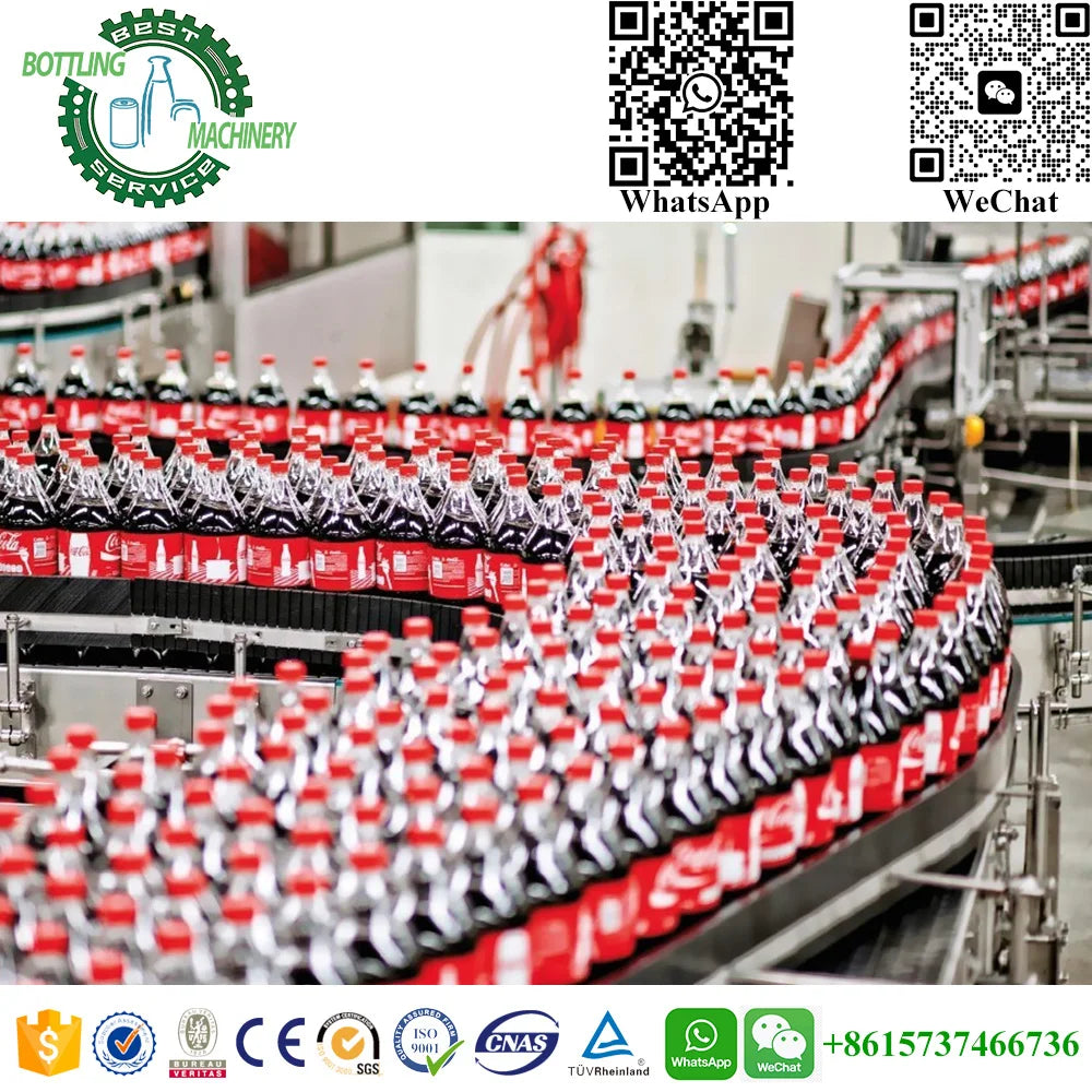 Turnkey Project Customizable 1000bph - 50000bph Complete A to Z any bottle soft drink making machines
