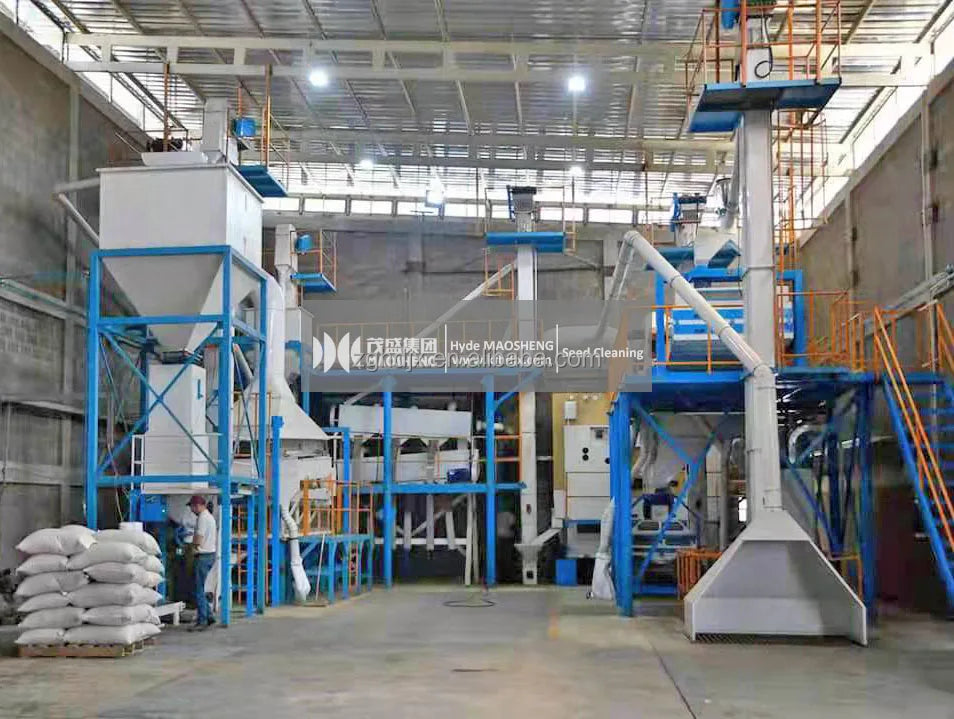 5 T agriculture equipment grain coriander seed processing machine wheat/ sesame/ bean /maize /corn /cotton seed sorting machine