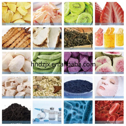DZJX 1 5 10 50 100 500 1000 Kg Food Bonbon Fruit Chips Ice Cream Vacuum Freeze Dryer Lyophilizer Freeze Dried Candy Machine
