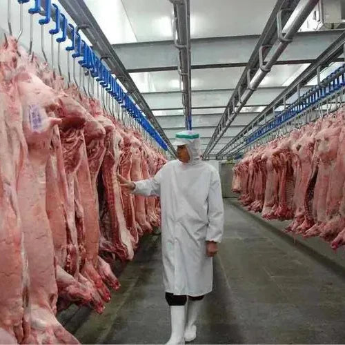 Arkref Industrial Quick Freezing Medium Large Butcher Butchery Equipment Slaughterhouse Cold Room Storage Refrigerator