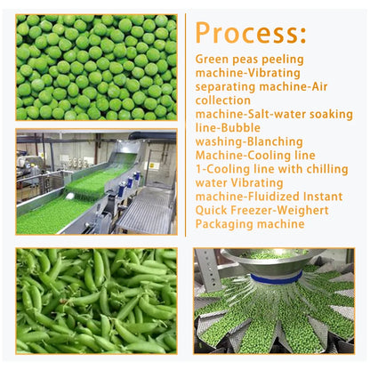 TCA automatic carrots mushrooms vegetable and fruit chopper blanching machine heavy duty production line