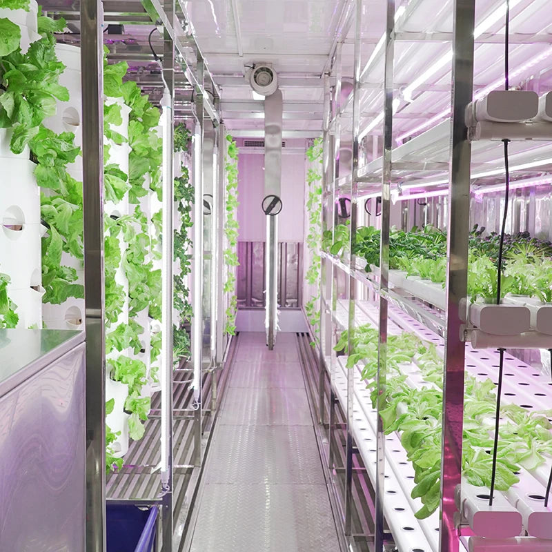 Lyine 2022 Smart Farm System Agriculture Grow Cabinet Irrigation & Hydroponics Equipment