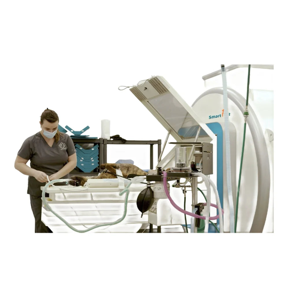 Smart F Vet Veterinary Equipment Animal Animal MRI Scan Magnetic Resonance Imaging System Equipment