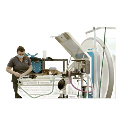 Smart F Vet Veterinary Equipment Animal Animal MRI Scan Magnetic Resonance Imaging System Equipment