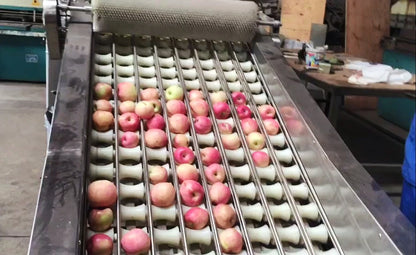Full Automatic Apple Pitting Segments And Slice Cutting Machine Apple Core Remove Slicer Machine