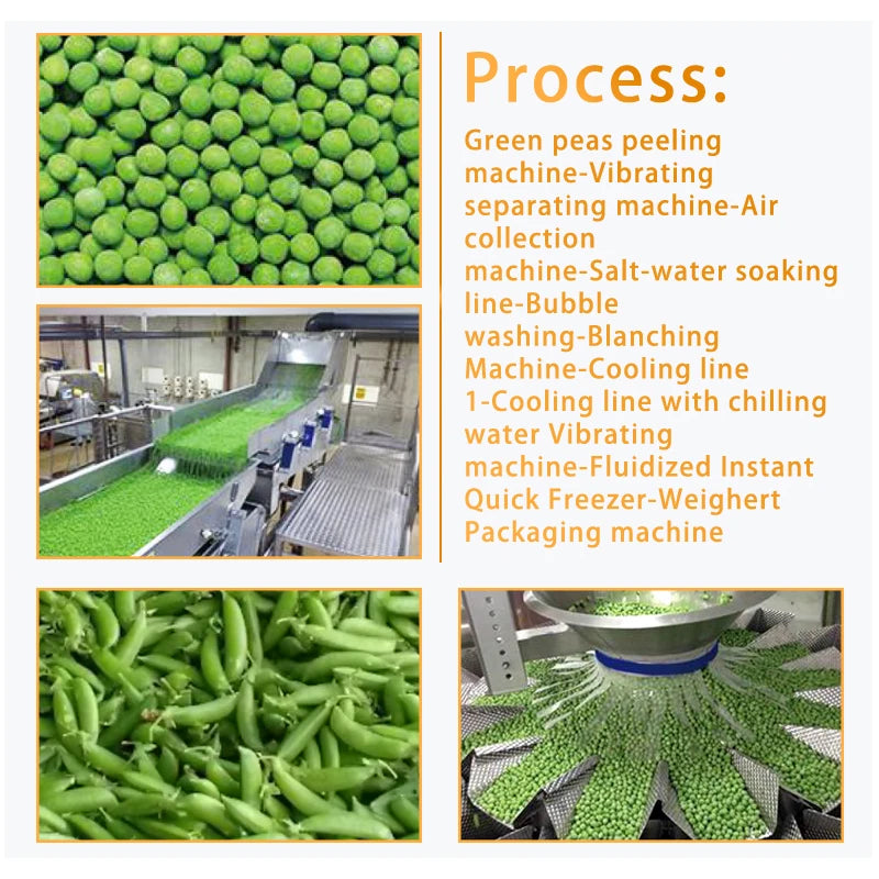 TCA full automatic industrial Cucumbers tomatoes leafy vegetable cutting machine production line