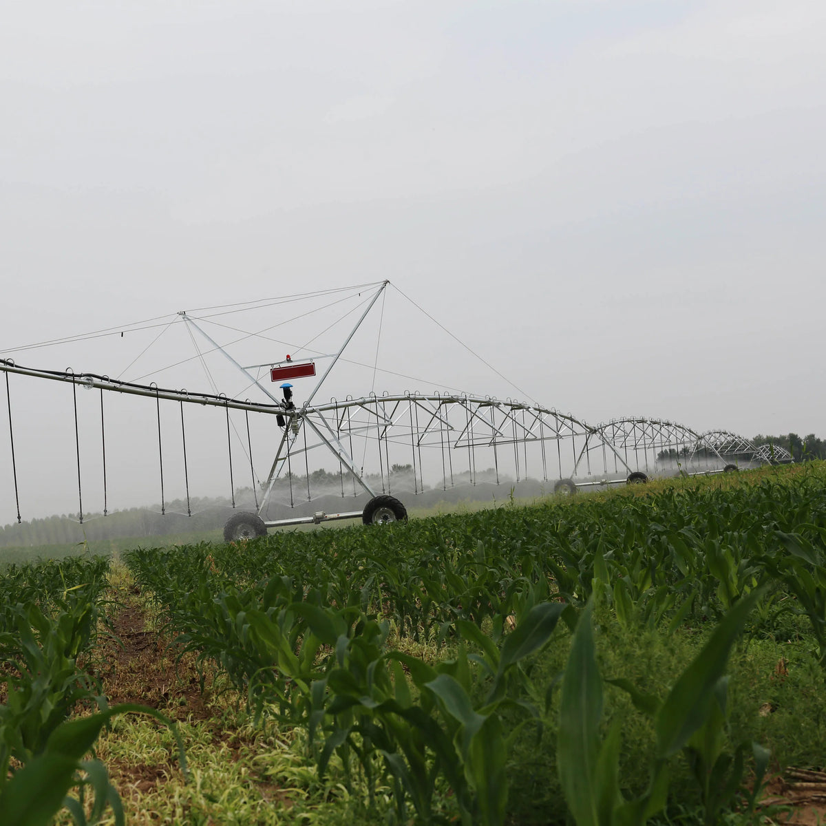 Agriculture DYP Central Pivots Irrigator Fixed Center Pivot Irrigation System