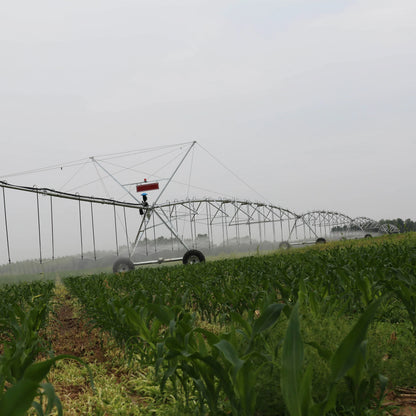 Agriculture DYP Central Pivots Irrigator Fixed Center Pivot Irrigation System