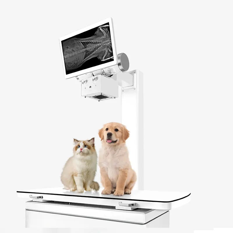 DR Use Hospital X Ray Machine For Accurate Medical Imaging