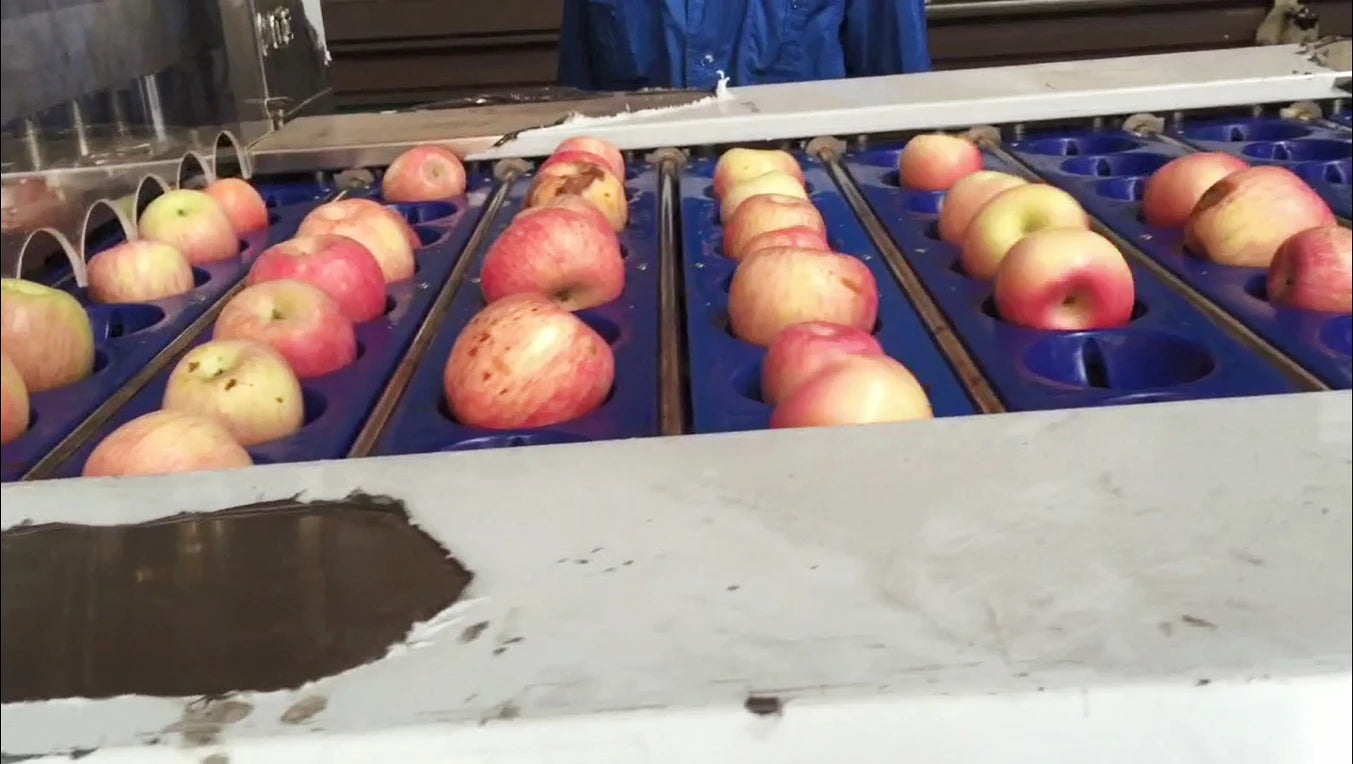 Full Automatic Apple Pitting Segments And Slice Cutting Machine Apple Core Remove Slicer Machine