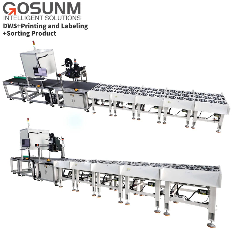 Parcel Sorting Machine Mail Sorting Courier Sorting Conveyor System for Post and Express Sorting with Dws