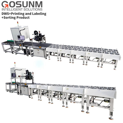 Parcel Sorting Machine Mail Sorting Courier Sorting Conveyor System for Post and Express Sorting with Dws