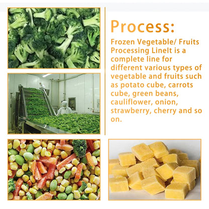 TCA full automatic industrial Cucumbers tomatoes leafy vegetable cutting machine production line