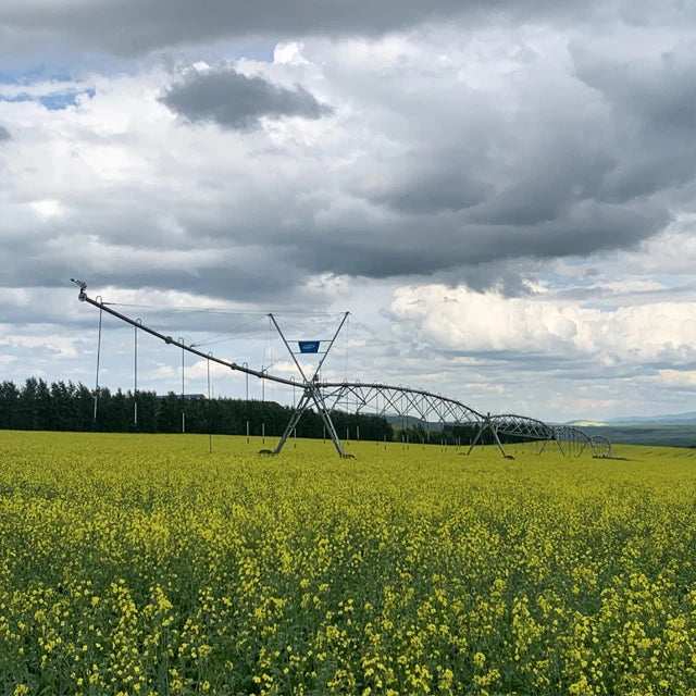 Large Scale Farm Linear Pivot Irrigator System Lateral Move Pivot Irrigation Equipment