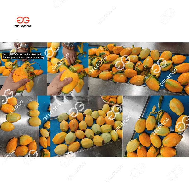 Automatic Fruit Mango Peeling And Slicing Cutting Machine Mango Peeler Electric Green Mango Peeling Machine