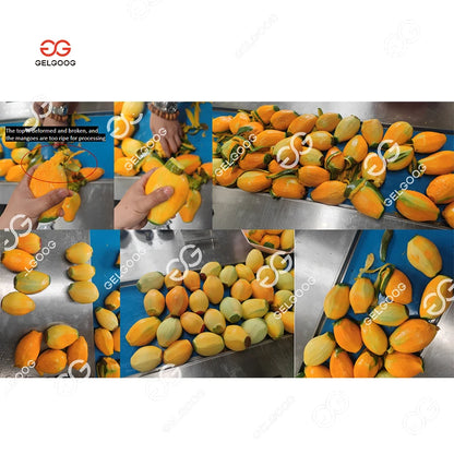 Automatic Fruit Mango Peeling And Slicing Cutting Machine Mango Peeler Electric Green Mango Peeling Machine