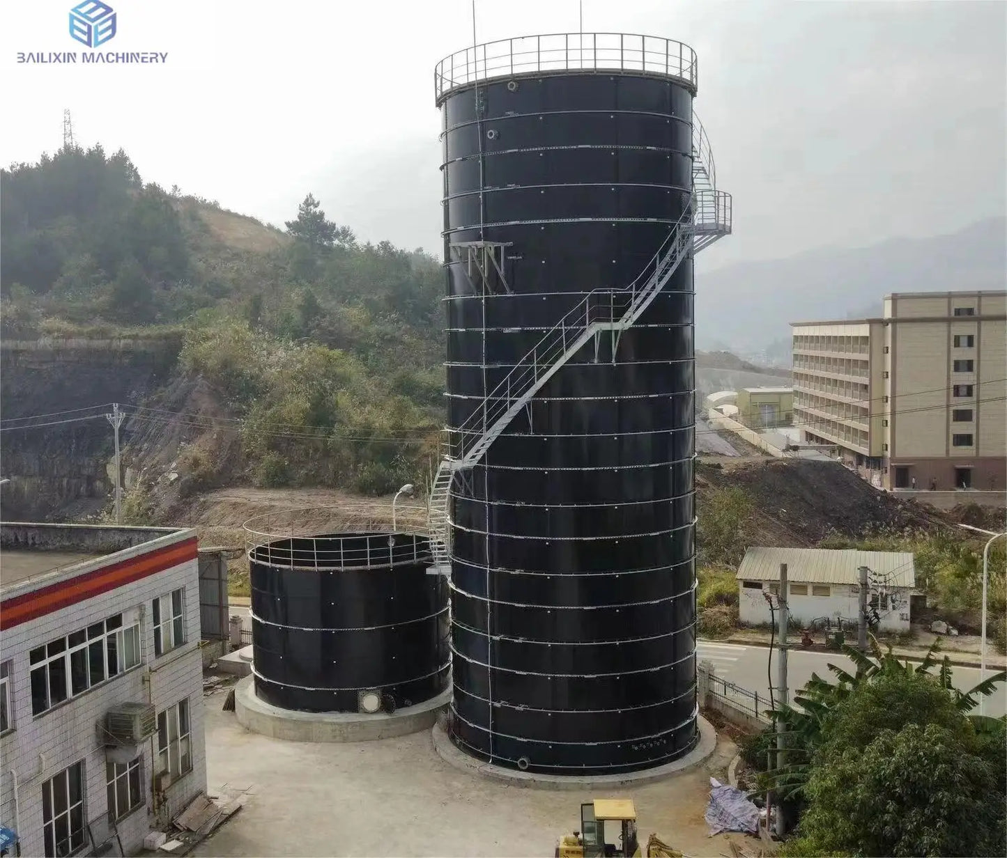 BLX Best selling Newest slaughter plant waste digester for professional biogas equipment