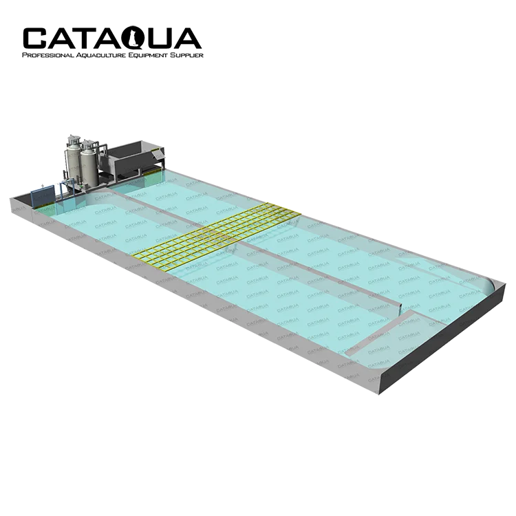 CATAQUA Raceway Tank RAS Recirculating Aquaculture Equipment Arowana Fish Farm Aquarium Systems