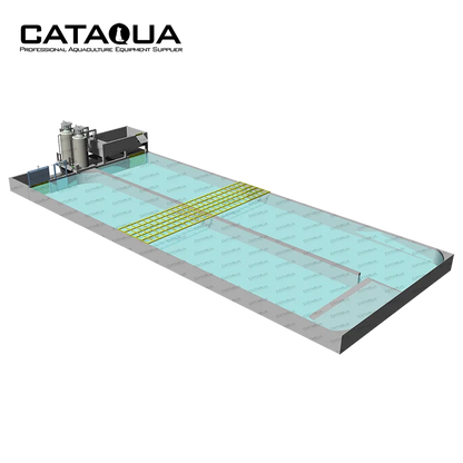 CATAQUA Raceway Tank RAS Recirculating Aquaculture Equipment Arowana Fish Farm Aquarium Systems